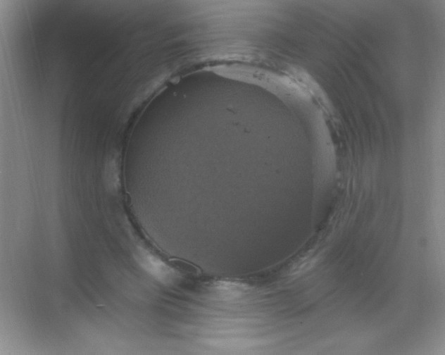 X0000068840393200605191931