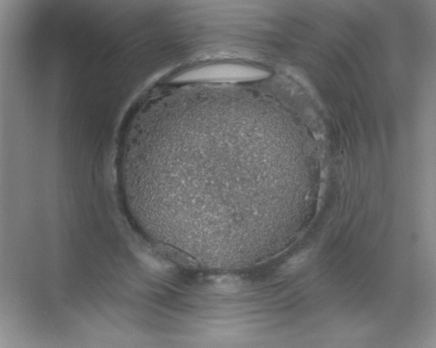 X0000068840395200605191931