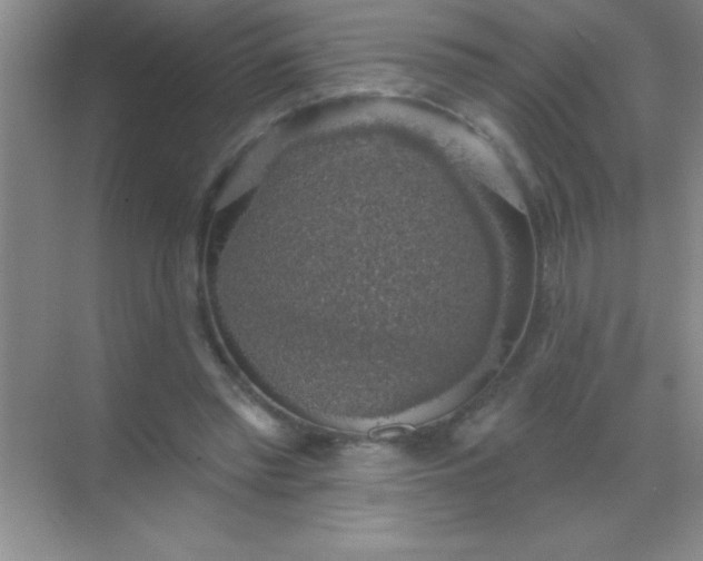 X0000068840397200605191931