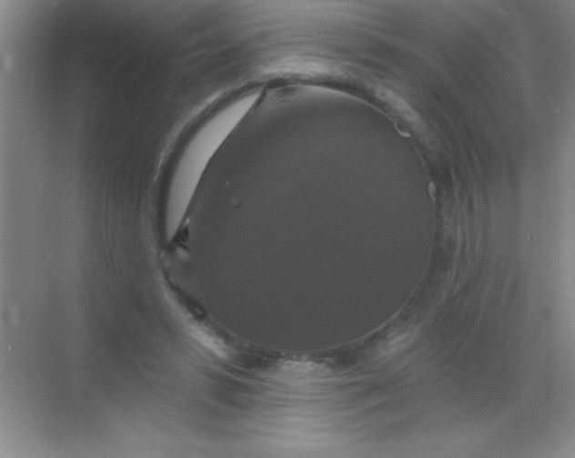 X0000068840399200605191931