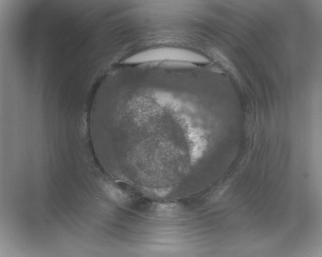 X0000068840401200605191931