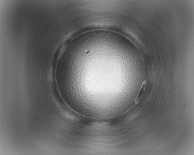 X0000068840403200605191931