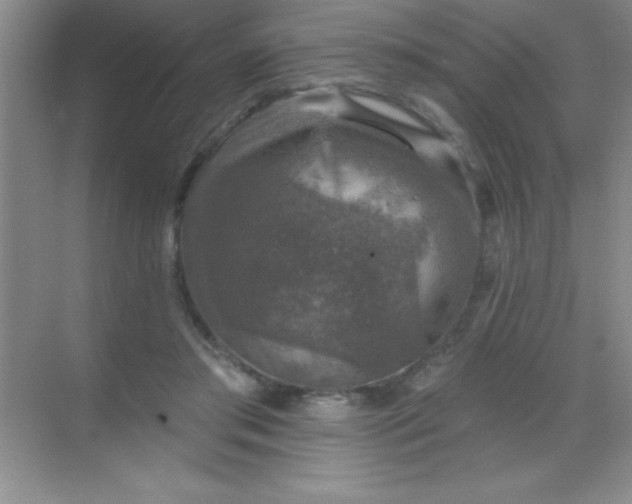 X0000068840405200605191931