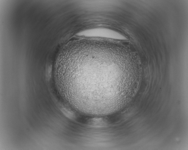 X0000068840406200605191931