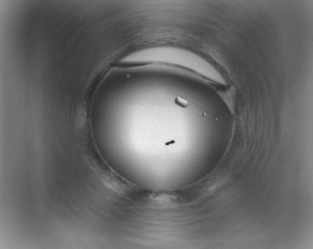 X0000068840407200605191931