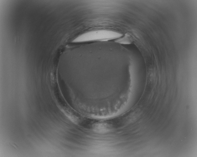 X0000068840408200605191931