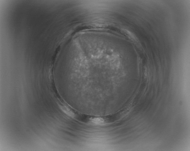 X0000068840409200605191931