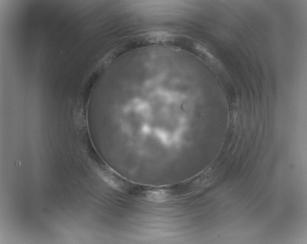 X0000068840411200605191931