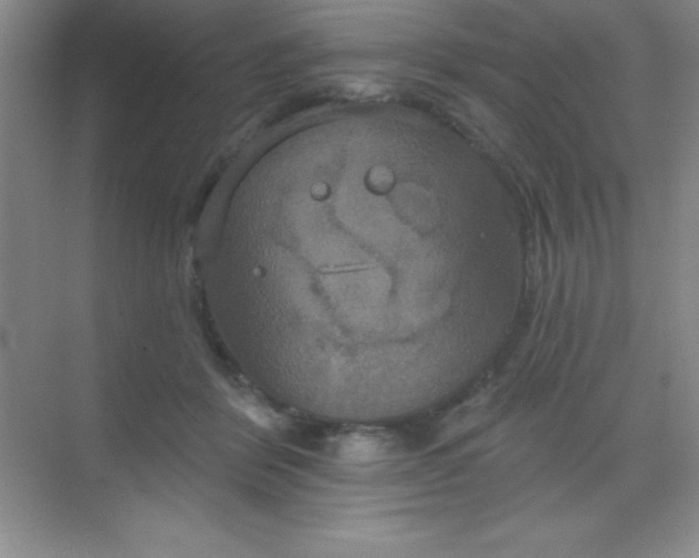 X0000068840412200605191930