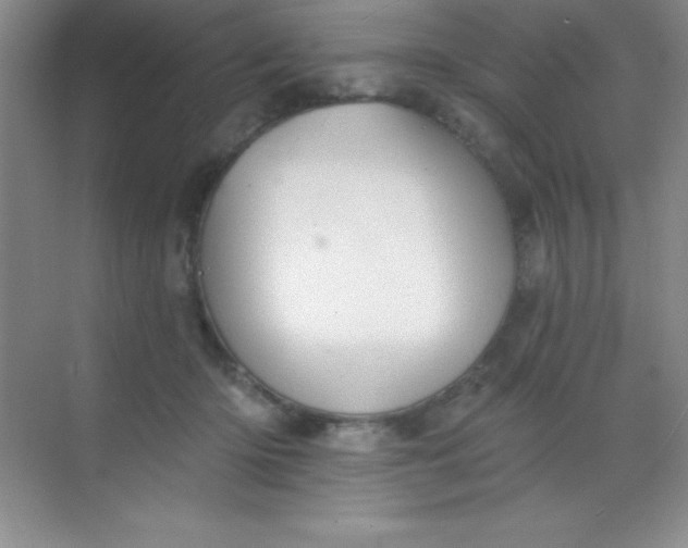 X0000068840414200605191930