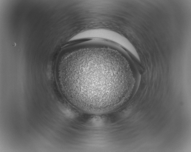 X0000068840416200605191930