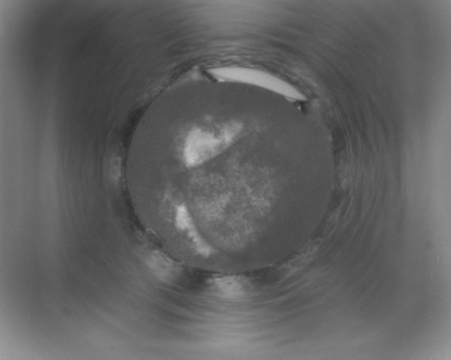 X0000068840417200605191930