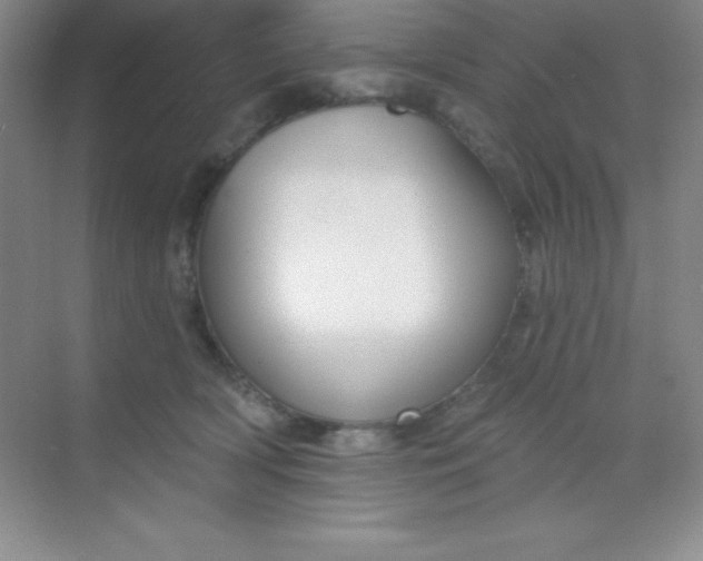 X0000068840418200605191930