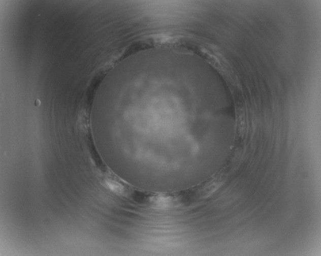 X0000068840419200605191930