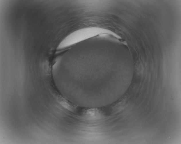 X0000068840420200605191930