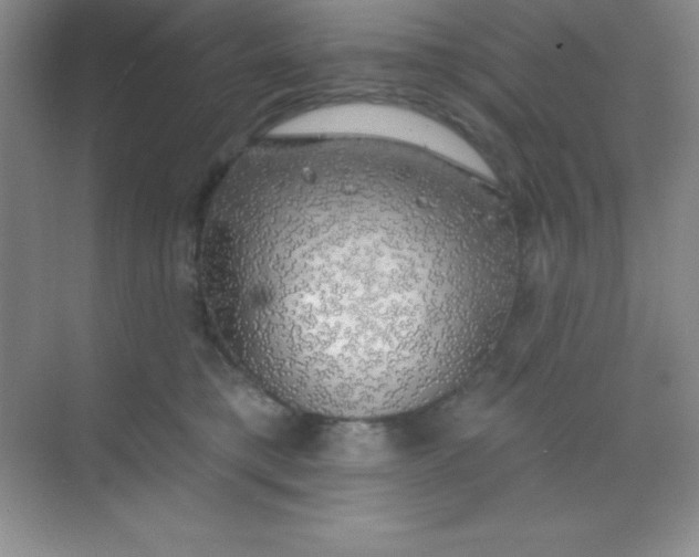 X0000068840421200605191930