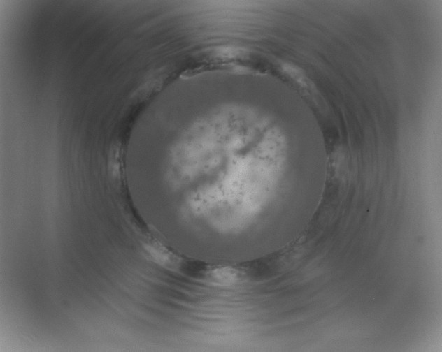 X0000068840423200605191930