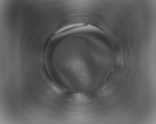 X0000068840424200605191930