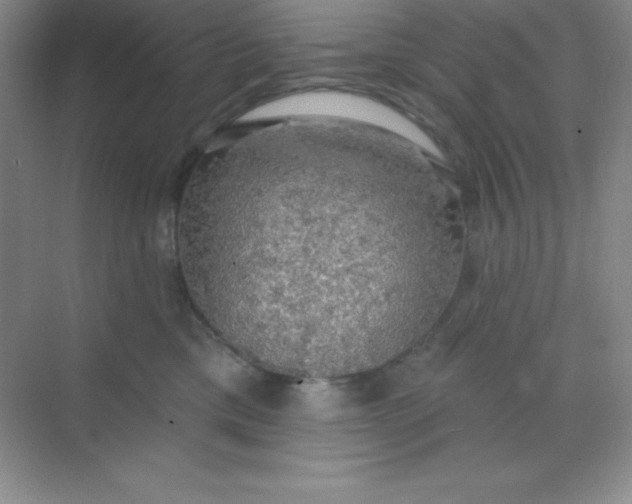 X0000068840425200605191930