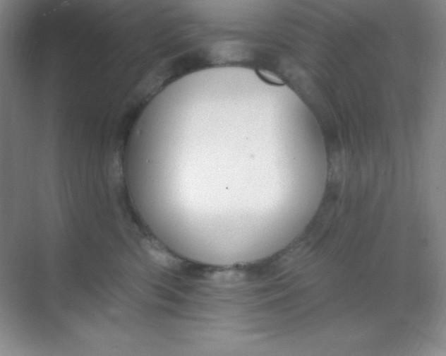 X0000068840426200605191930