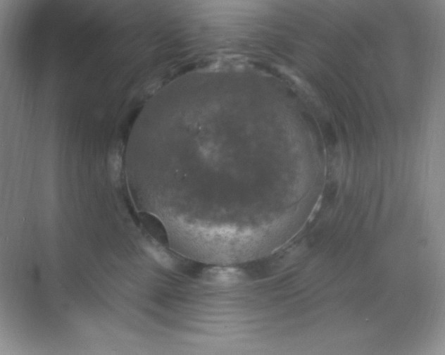 X0000068840427200605191930