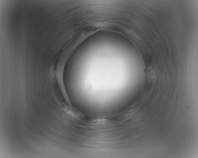 X0000068840428200605191930