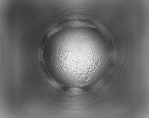 X0000068840429200605191930