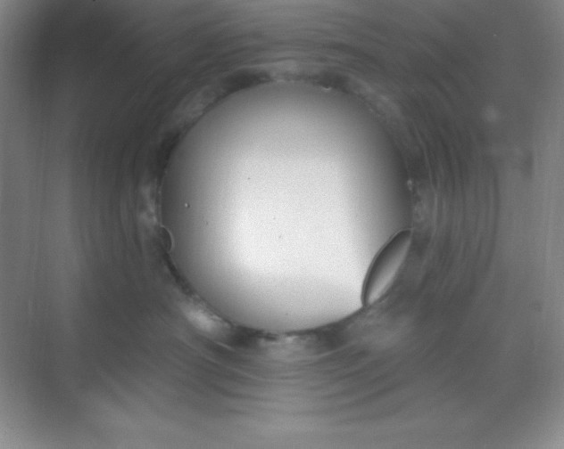 X0000068840430200605191930