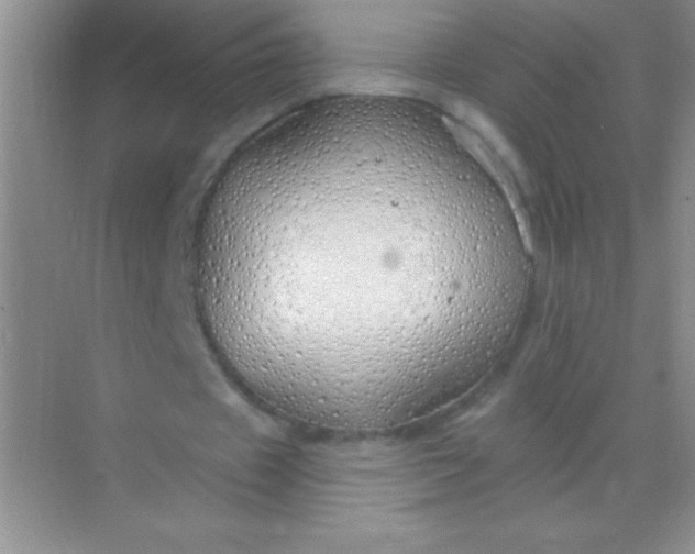 X0000068840433200605191929