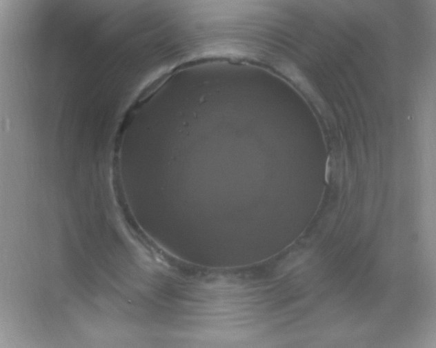 X0000068840434200605191929