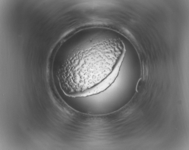 X0000068840435200605191929