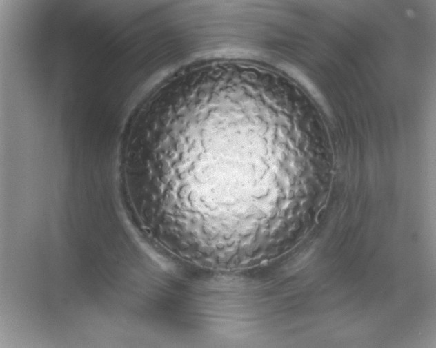 X0000068840437200605191929