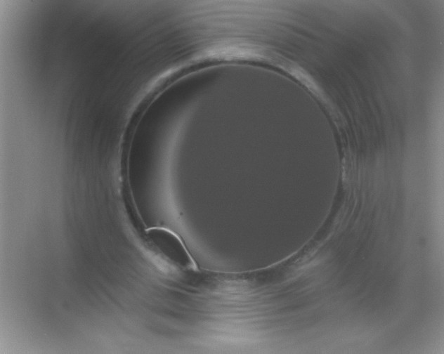 X0000068840438200605191929