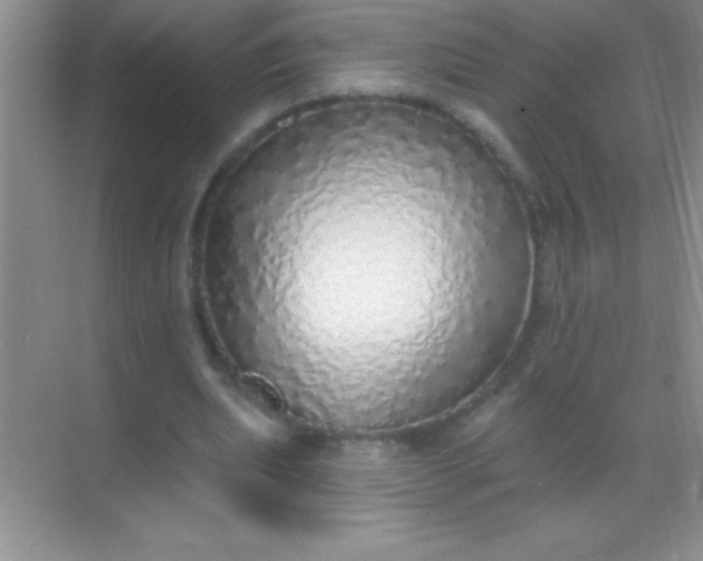 X0000068840439200605191929