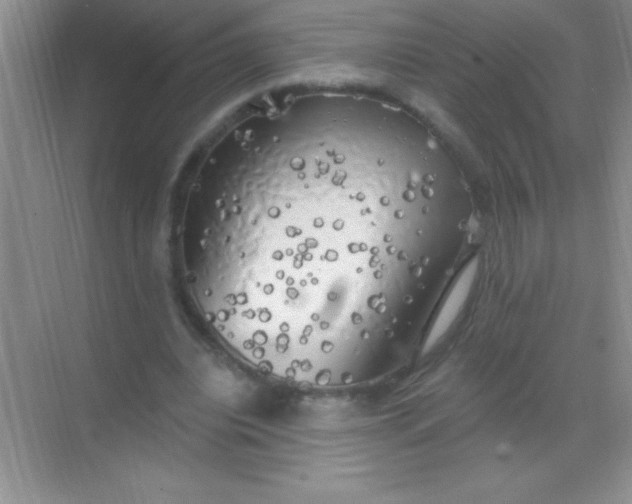 X0000068840440200605191929