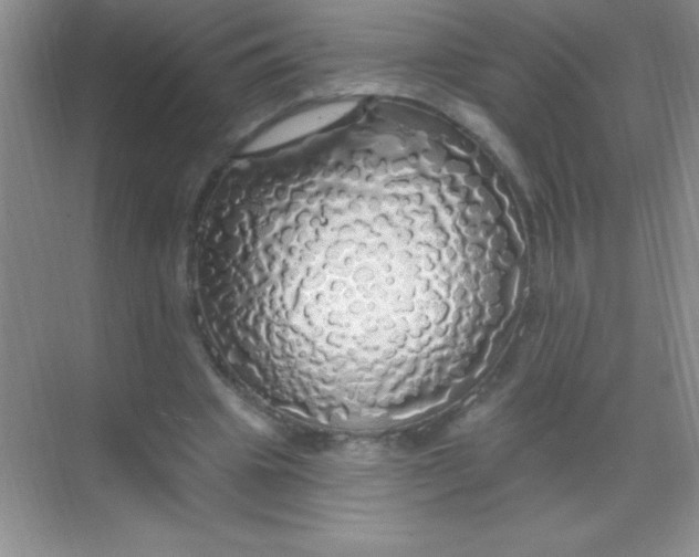 X0000068840441200605191929