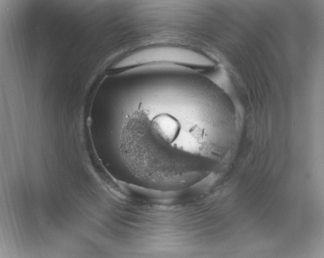 X0000068840442200605191929