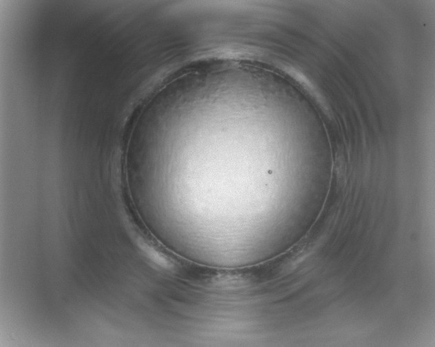 X0000068840445200605191930