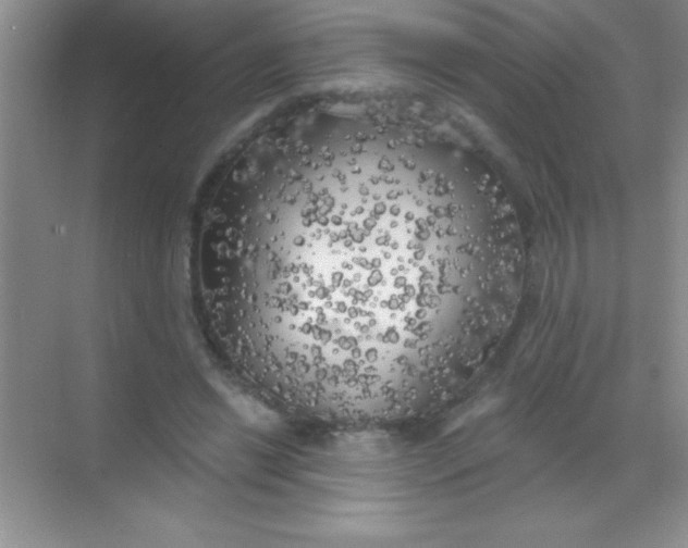 X0000068840446200605191930