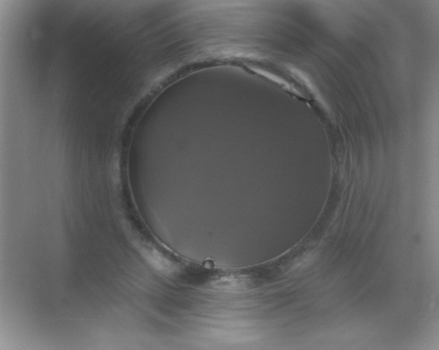 X0000068840447200605191930