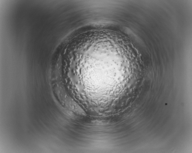 X0000068840448200605191930