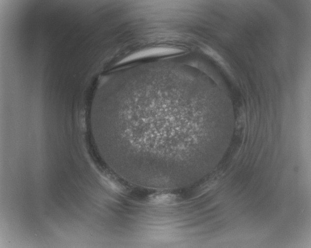 X0000068840452200605191930