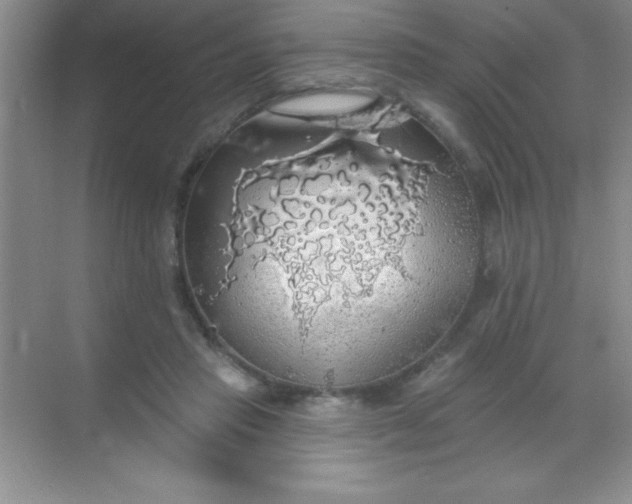 X0000068840453200605191930