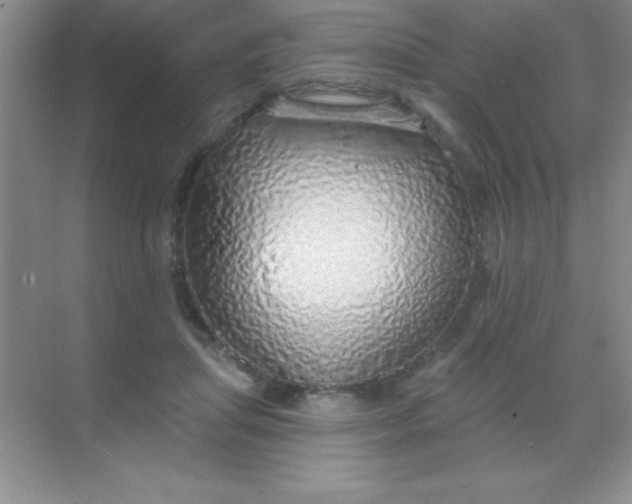 X0000068840455200605191930