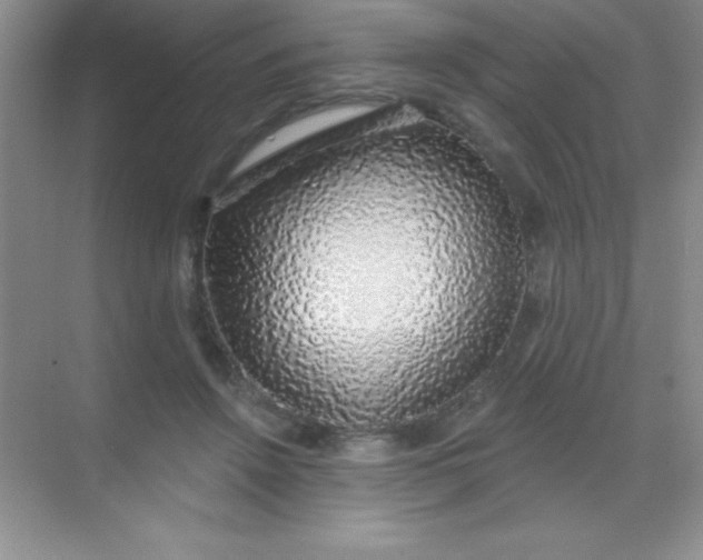 X0000068840456200605191930