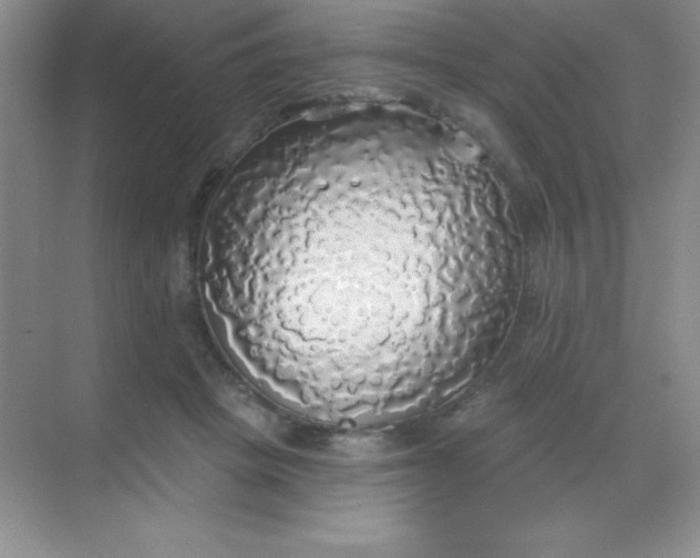 X0000068840457200605191930