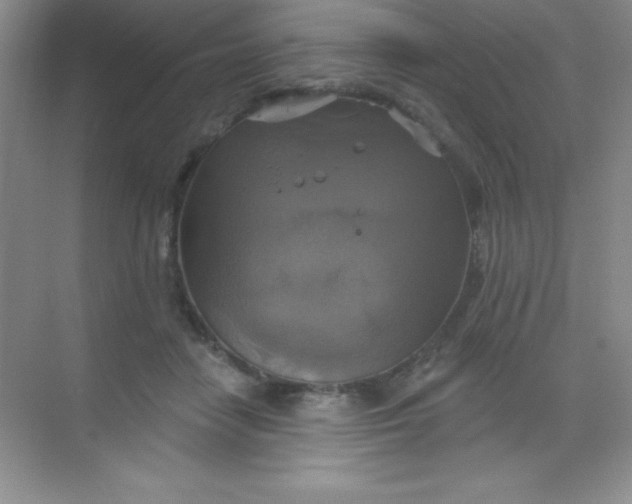 X0000068840458200605191930