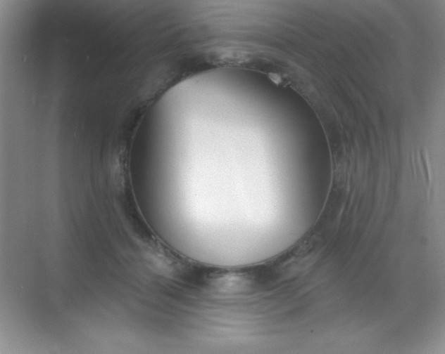 X0000068840460200605191930