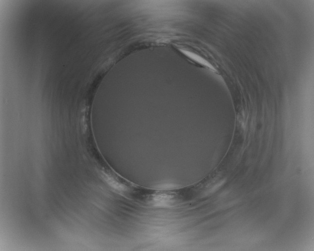 X0000068840462200605191930