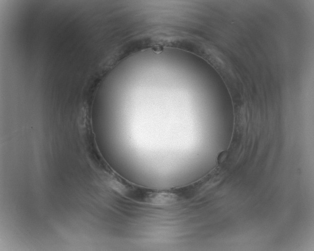 X0000068840463200605191930